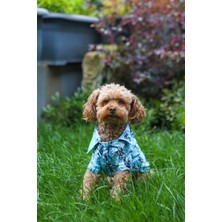 Salya Store Summer Vibes Yazlık Köpek Gömleği 0 - 15 kg