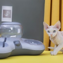 Floria Evcil Hayvan Hazneli Kedi Köpek Mama ve Su Kabı Seti 1.4 lt Su