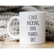 Bexdore Bitki Kupa, Komik Bitki , Bitki Sevgiliye , Bitki Kupa, Bitki , Ingilizce Kupa Bardak