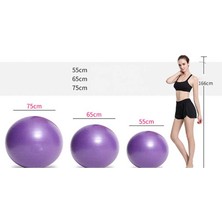 Chaoduo Shop Mavi 75CM Tarzı Spor Yoga Topları Pilates Fitness Salonu Denge Fitball Egzersiz Pilates Egzersiz Masaj Topu 65CM 75CM (Yurt Dışından)