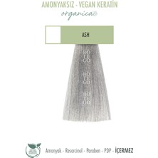 Botego Milano Organica Krem Boya Ash 100 ml