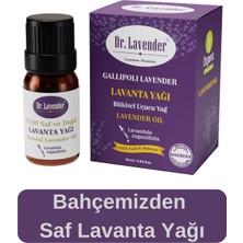 Dr. Lavender Gelibolu Kavakköy Lavantası Saf Doğal Lavanta Yağı Buhurdanlık Yağı Difüzör Esansı 10 ml