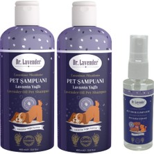 Dr. Lavender Antiseptik Köpek Şampuanı 400 ml (2'li Set) Pet Koku Giderici 45 ml