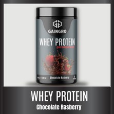 Gaingro Whey Proteın Chocolade Raspberry - 420 gr 12 Servis