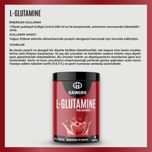 Gaingro L-Glutamine Watermelon Strawberry - 250 gr 40 Servis