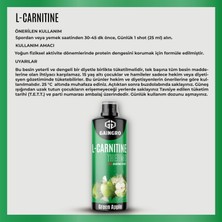 Gaingro L-Carnitine Thermo Green Apple 40 Servis