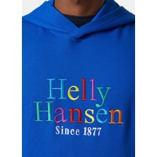 Helly Hansen Core Graphic Erkek Kapüşonlu Sweatshirt