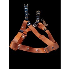 Balkonda Köpek göğüs tasması bakır renk saten kolon kalınlık:2,5mm genişlik:3cm göğüs ölçüsü:60-100cm ayarlanabilir dog harness GT5-25