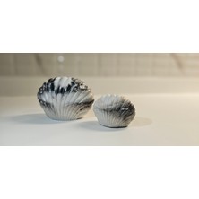 Laurel-Wood 2'li Deniz Kabuğu Seti(Vernikli)