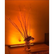 ŞANLED 18W - 50cm AMBER Renk Led Wallwasher - Duvar Boyama