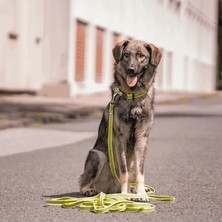 Sprenger M Boy Ayarlanabilir Yeşil Köpek Tasması ( 40 - 55 Cm)