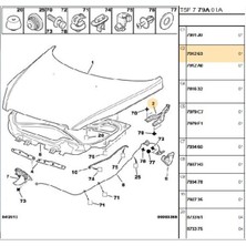 Psa Sol Kaput Menteşesi 307 (791263-BPE276024)