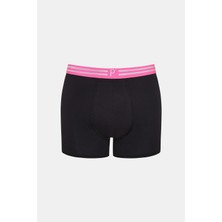 Penti Phospor Belt Çok Renkli 3lü Boxer