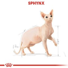 Royal Canin Tüysüz Sphynx Cinsi Yetişkin Kedi Maması 2 Kg