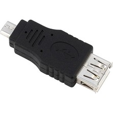 Pabiflo Mikro-Usb Erkek - USB A Dişi Adaptör (Yurt Dışından)