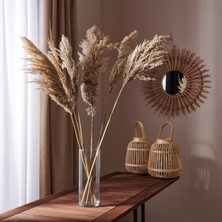 Evidea Deco Pampas Yapay Çiçek - Bej - 90X20 cm