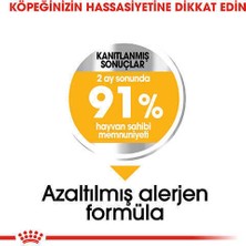 Royal Canin Mini Dermacomfort Yetişkin Köpek Maması 3 kg