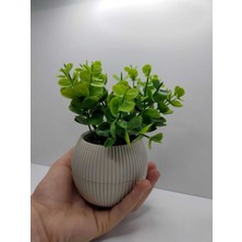 Ddpest Ds- Bej Saksı Şimşir Yapay Çiçek Bitki Gerçek Taş Yosunlu 18 cm Dekoratif Masa Raf Çiçeği No:1