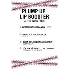 Lollis Plump Up Lip Booster  / Dolgun Görünüm Veren Dudak Parlatıcısı