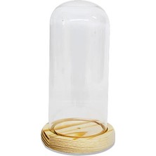 Markport Fanus Boş 65/15