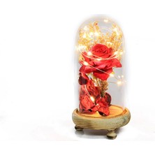 Markport Fanus Gül 19/10CM