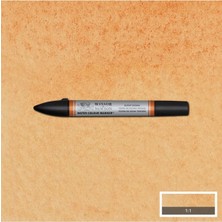 Winsor & Newton Promarker Watercolour Burnt Sienna 074