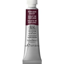 Professional Sulu Boya 5ml Perylene Violet 470 S.2