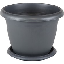 Serinova 5 No Villa Saksı 3,7 Lt.