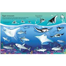 First Sticker Book Sharks And Rays - Jane Bingham