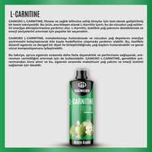 Gaingro L-Carnitine Thermo Green Apple 40 servis