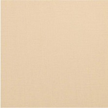 Winsor & Newton Artisan Yağlı Boya 37ML Raw Sienna 552 S.1