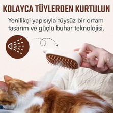 Akotron Buharlı Kedi Köpek Tarağı