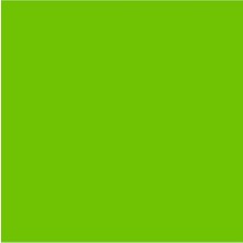 Liquitex Professional Akrilik Markör Kesik Uç 15MM Vivid Lime Green 740