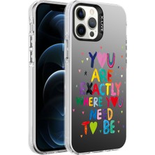 Cepte Aksesuar Apple iPhone 12 Pro - Uyumlu Desenli Silver Sert Kapak-You