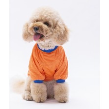 Pawstar Turuncu Everything Kedi Köpek Sweati