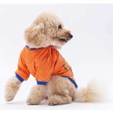 Pawstar Turuncu Everything Kedi Köpek Sweati