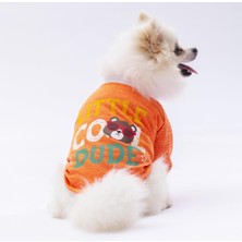 Pawstar Turuncu Dude Kedi Köpek Sweati