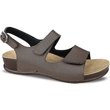 Ceyo Kadın Sandalet Olıva-2 (35-41)