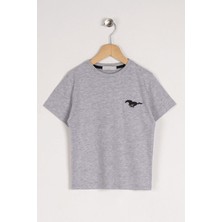 Bisiklet Yaka Kısa Kol Baskılı Gri Renk Erkek Çocuk Tshirt