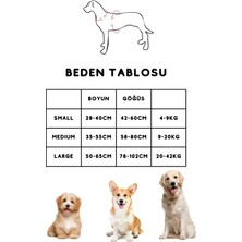 Pakeway  '' Fancy '' 4 Parça Köpek Gezdirme Seti - Amerika'nın En Meşhur Köpek Gezdirme Seti