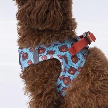 Pawstar Bears Air-Mesh Göğüs Tasması Kedi Köpek Göğüs Tasması Xlarge