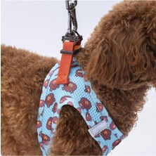 Pawstar Bears Air-Mesh Göğüs Tasması Kedi Köpek Göğüs Tasması Xlarge