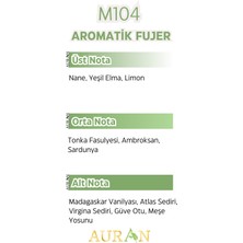 Auran M104 - Erkek Parfüm Aromatik Fujer 50ML