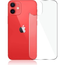 Canpay Apple iPhone 12 Mini Uyumlu Arka Cam Telefon Arka Koruyucu Temperli Cam Düşmelerden Kirden Ultra Derece Korur