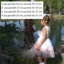 Prenses Peri Kids Kız Çocuk Doğum Günü Elbisesi Abiye Party Elbisesi Saç yada kol aksesuar dahil 