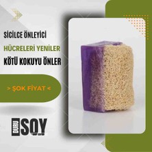 Pro Lific Natural Lavanta Özlü Doğal Kabak Lifli Sabun