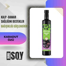 Durusoy Shop Center Lokmanzade Karadut Özü 680GR