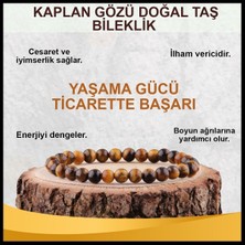 Y&B Kaplan Gözü Şifalı Doğal Taş Bileklik Güç ve Cesaret Taşı Aa Kalite Parlak %100 Doğal Taş