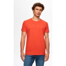 Twn Slim Fit Nar Çiçeği Düz T-Shirt 2EC148551753M