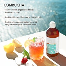 Fermente Mutfağım Organik Kombucha Çayı 500 ml